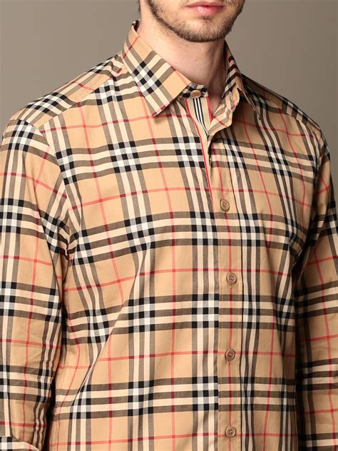 burberry t shirt multicolor|Burberry shirts cost.